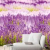 Digitaldruck Foto-Vliestapete Lavendel Floral | A35901