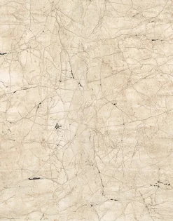 Digitaldruck Steine Putz beige braun Marburg 32756