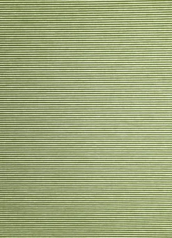 Flächenvorhang Uni grün halbtransparent 60x245 5840-17