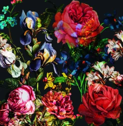 Fototapete Blumen Rosen Floral schwarz bunt Marburg