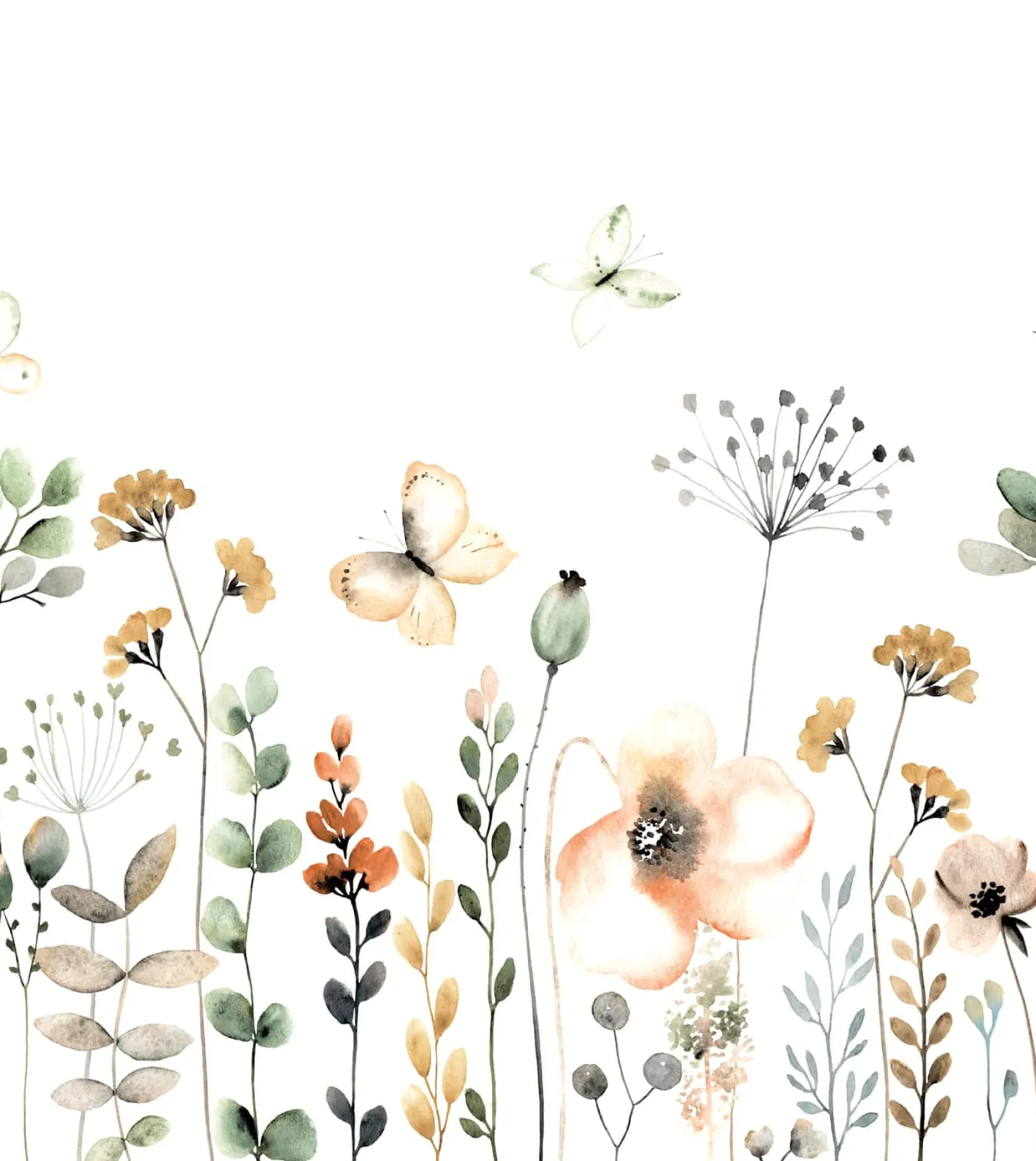 Fototapete Blumen Schmetterlinge Grün 253283 Rasch