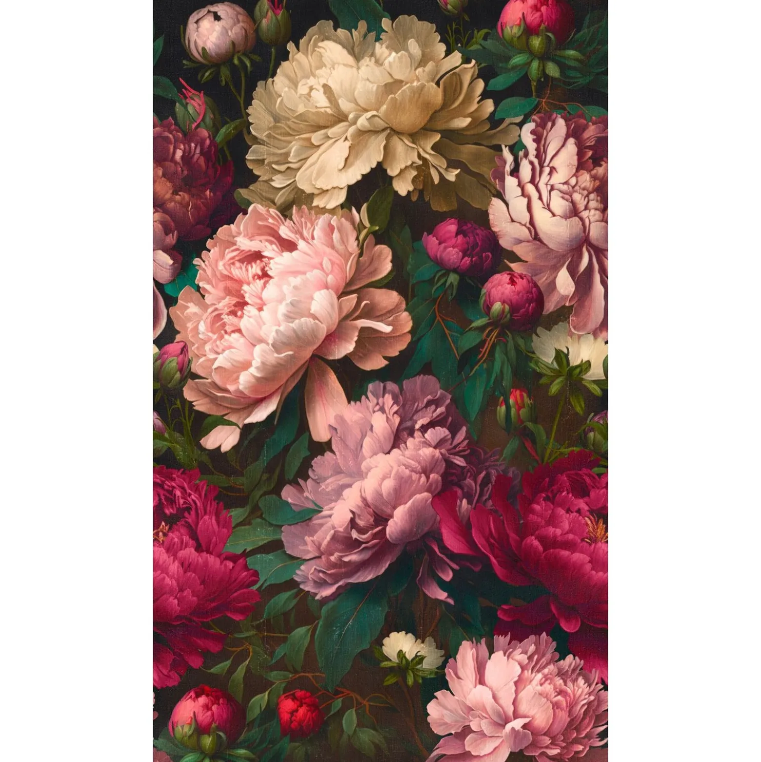 Fototapete Blumen Vintage Rosa Rot Grün 39862-1