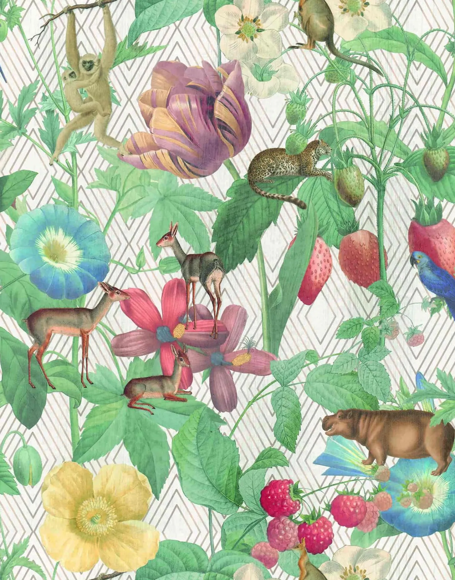 Fototapete Dschungel Tiere Floral bunt Marburg