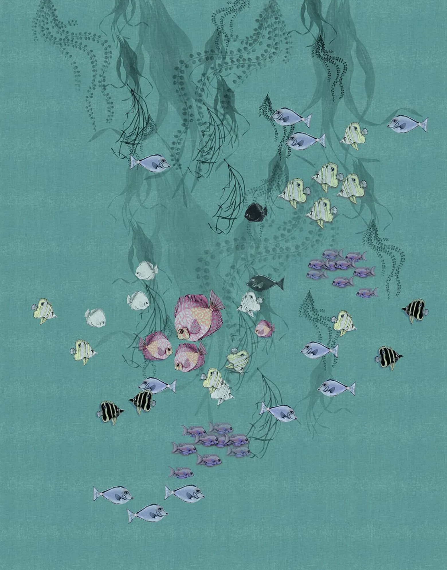 Fototapete Fische Unterwasser Meer blau lila Marburg