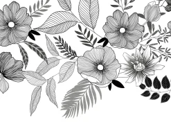 Fototapete Floral Blätter Weiß Schwarz ML6701