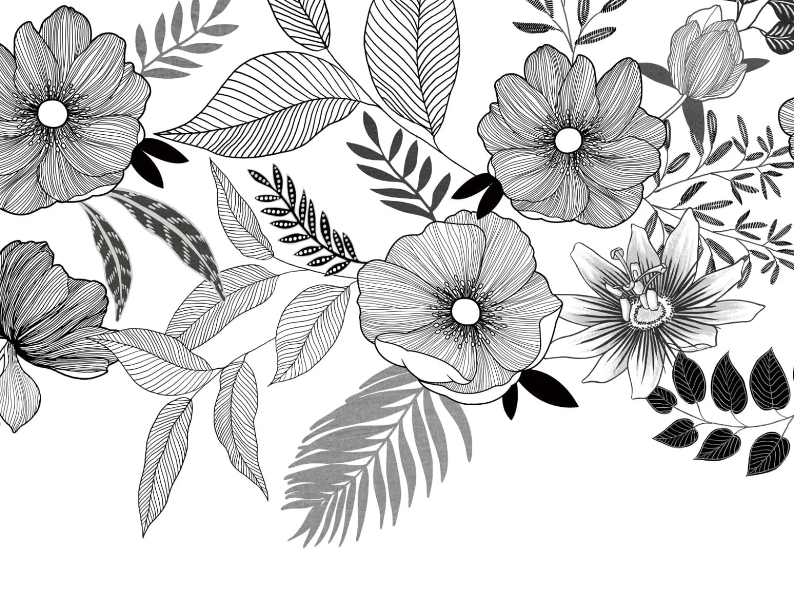 Fototapete Floral Blätter Weiß Schwarz ML6701