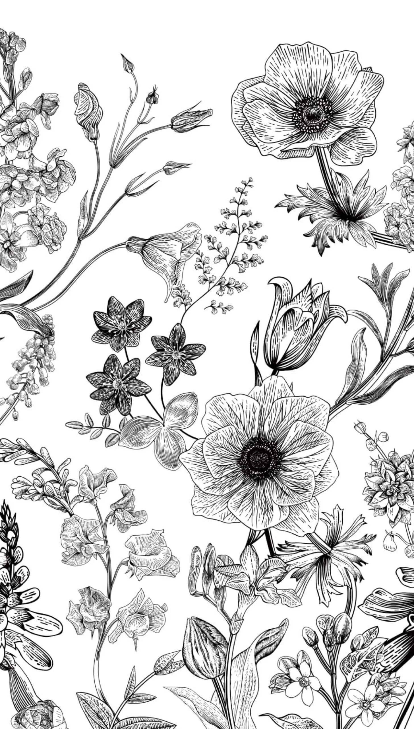 Fototapete Floral Illustration Weiß Schwarz ML1601
