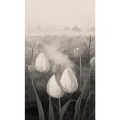 Fototapete Floral Tulpen Nebel Grau Schwarz 2523N-82