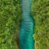 Fototapete Fluss Dschungel Tropen Blau Grün ML1401
