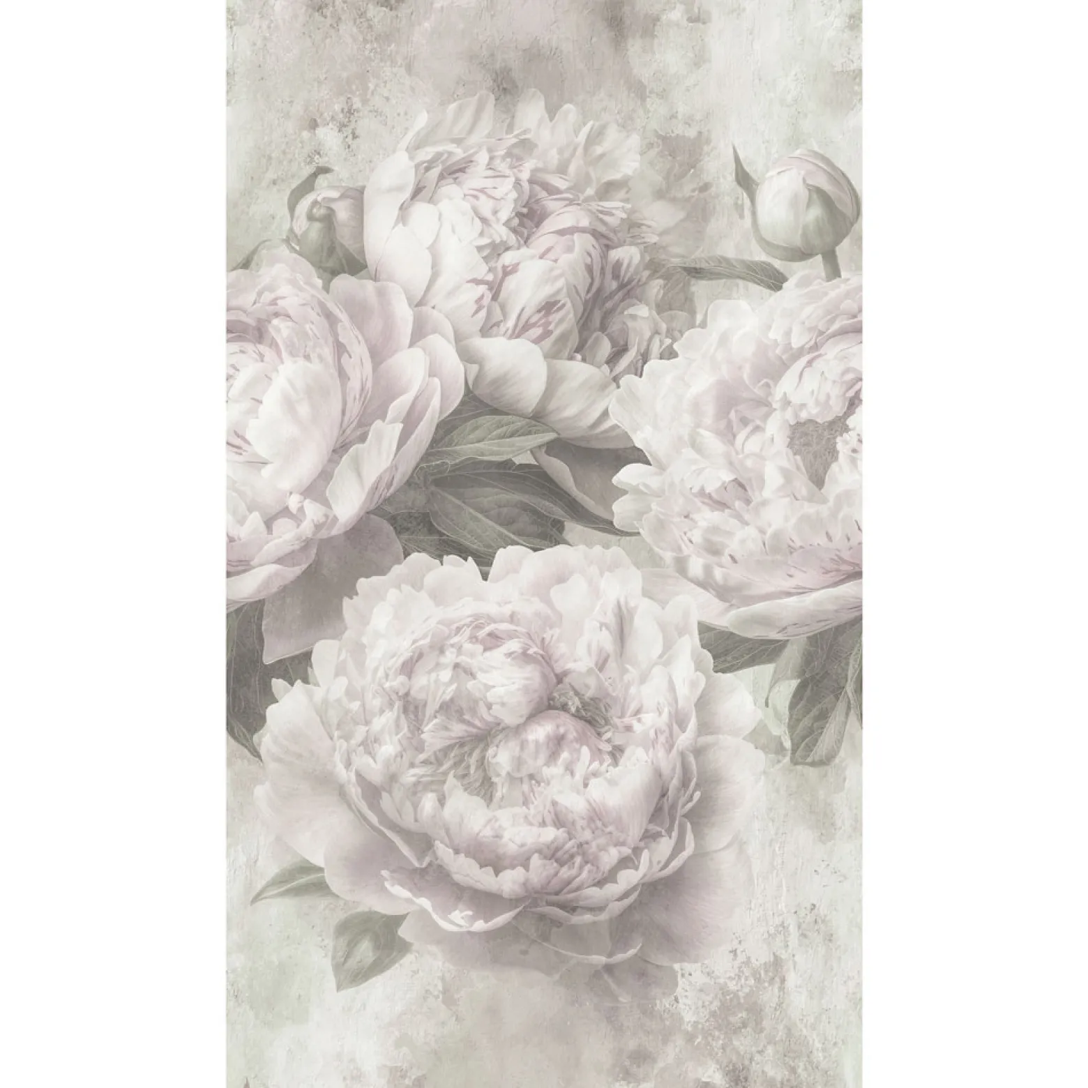 Fototapete Guido Maria Kretschmer Blumen grau creme