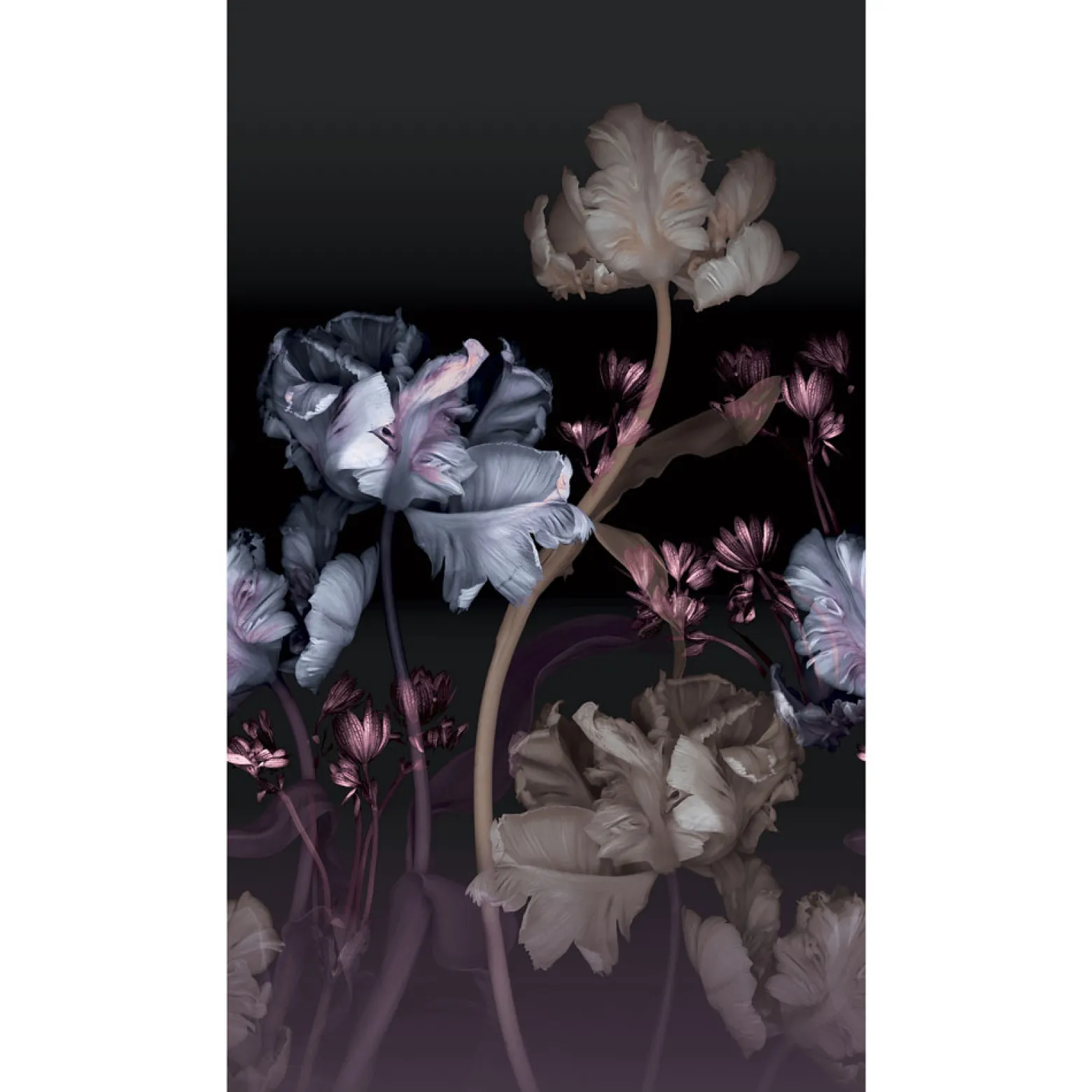 Fototapete Guido Maria Kretschmer Floral schwarz lila