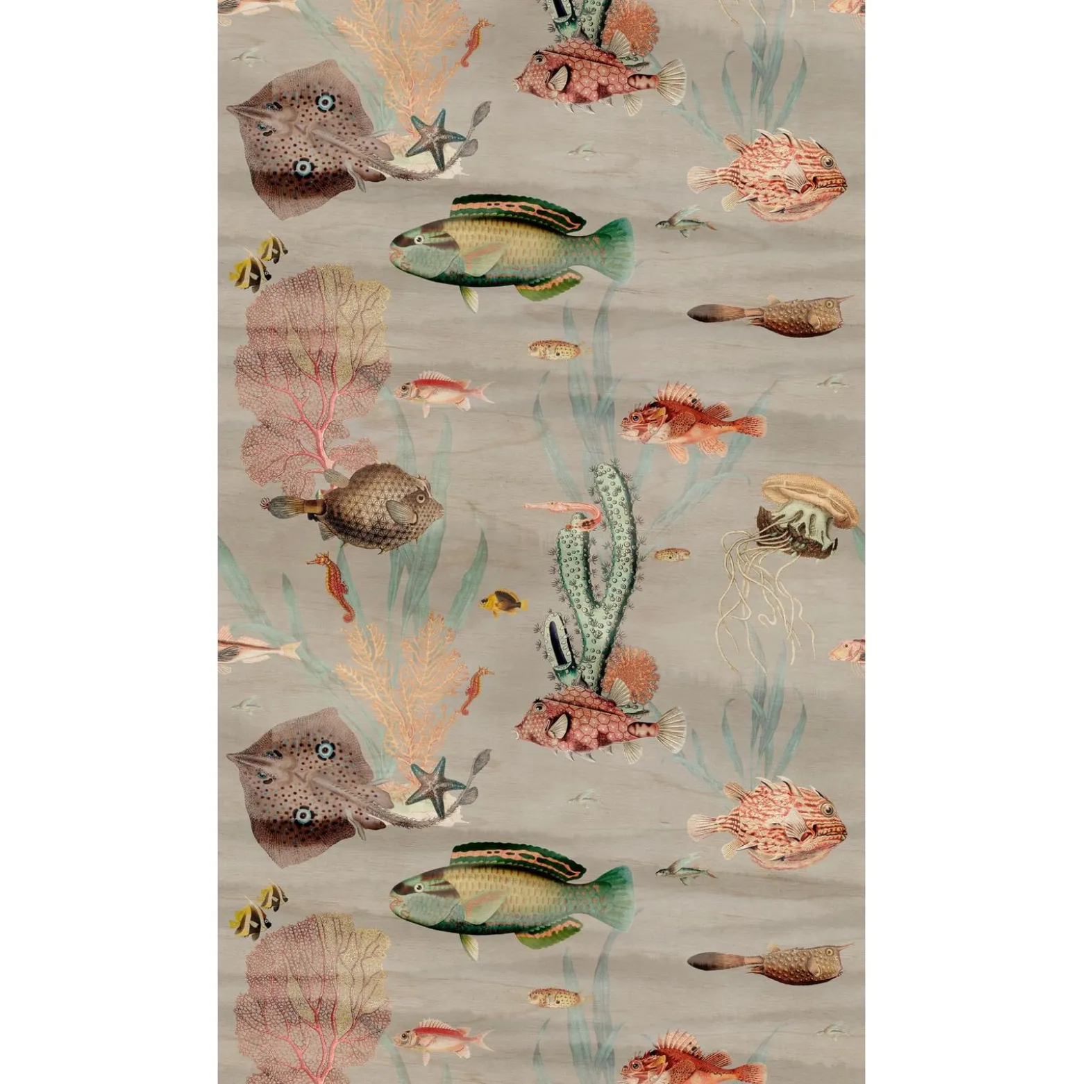 Fototapete Meer Fische Korallen Grau Bunt 39871-1