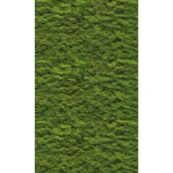 Fototapete Moos Wand Natur Motiv Grün 39839-1