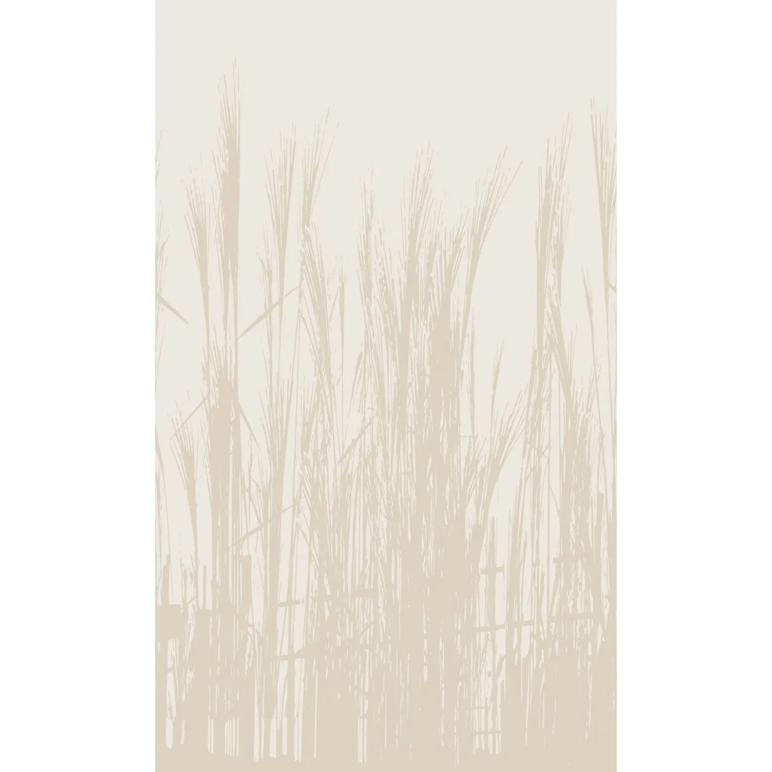 Fototapete Natur Gräser Schilf Beige Creme 39878-1