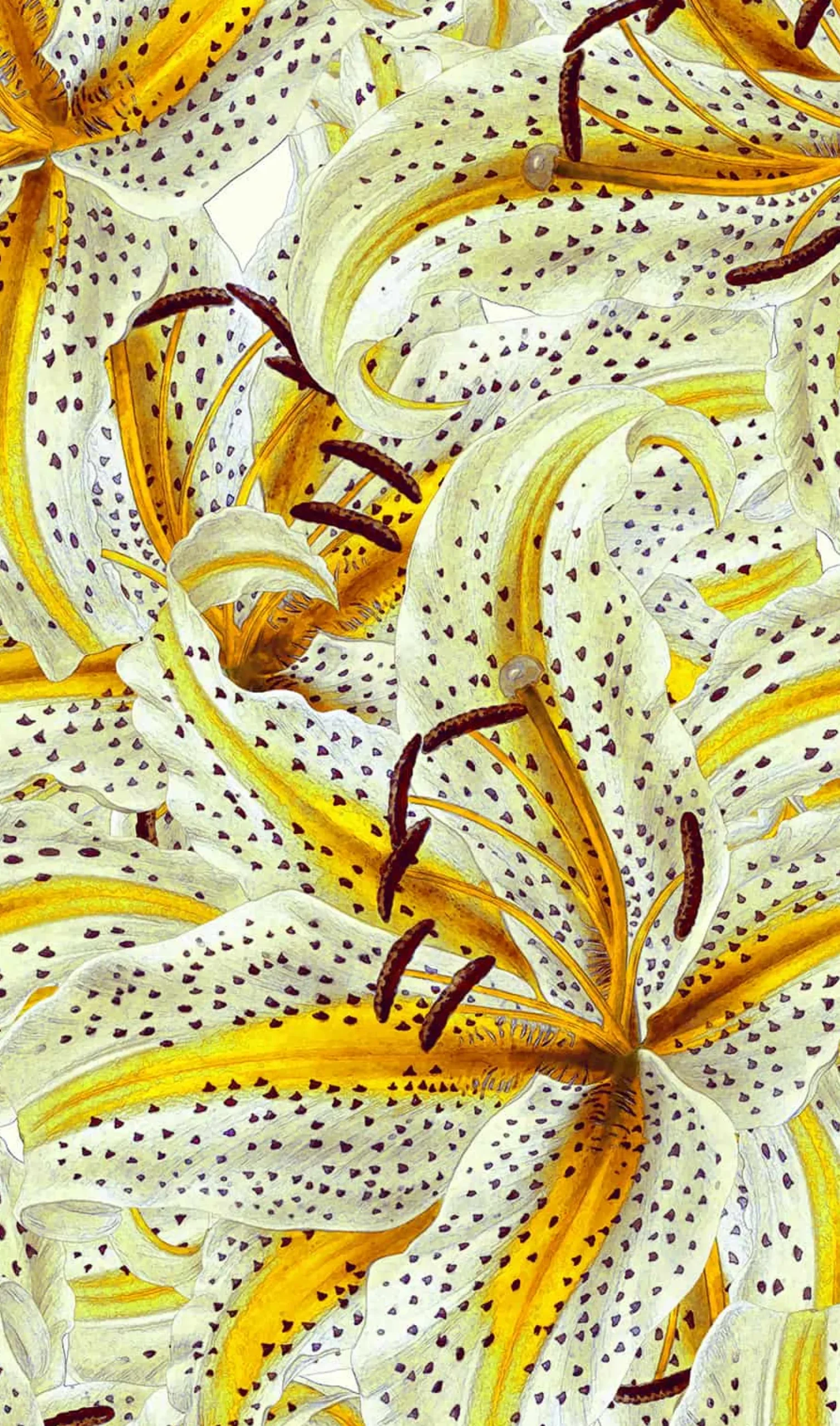 Fototapete Orchidee Blumen Floral gelb weiß Marburg