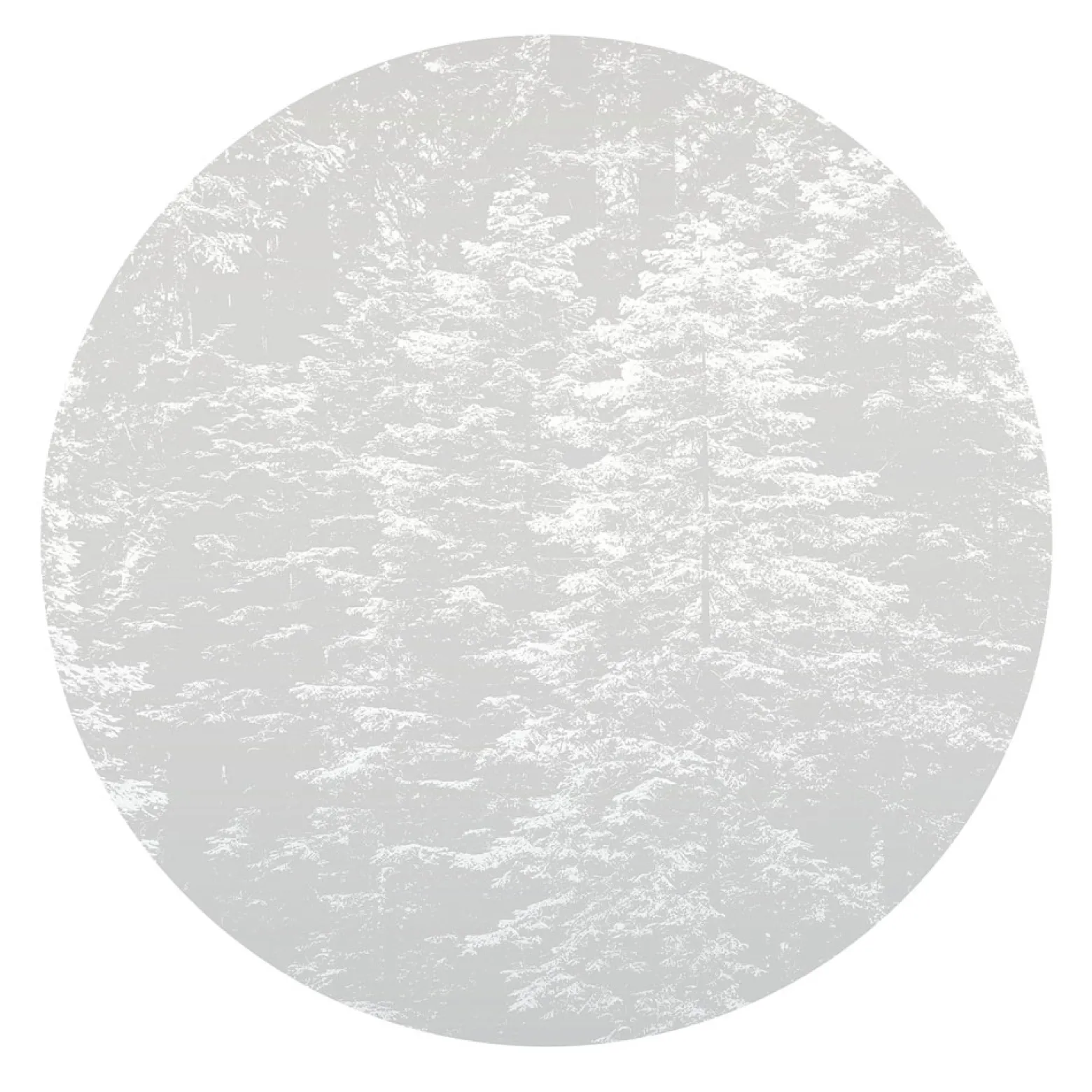 Fototapete rund Guido Maria Kretschmer Wald grau