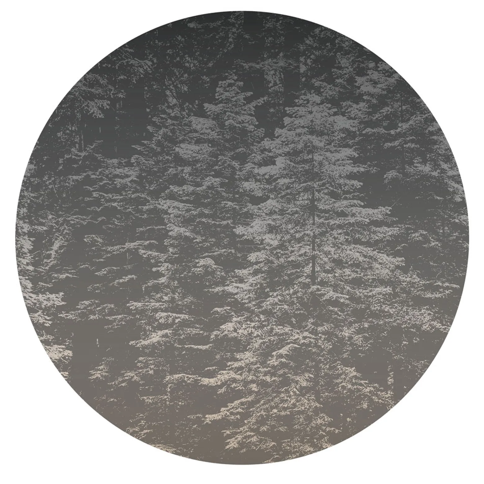 Fototapete rund Guido Maria Kretschmer Wald schwarz