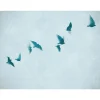Fototapete Vögel Himmel Aquarell Blau 39923-1