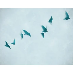 Fototapete Vögel Himmel Aquarell Blau 39923-1