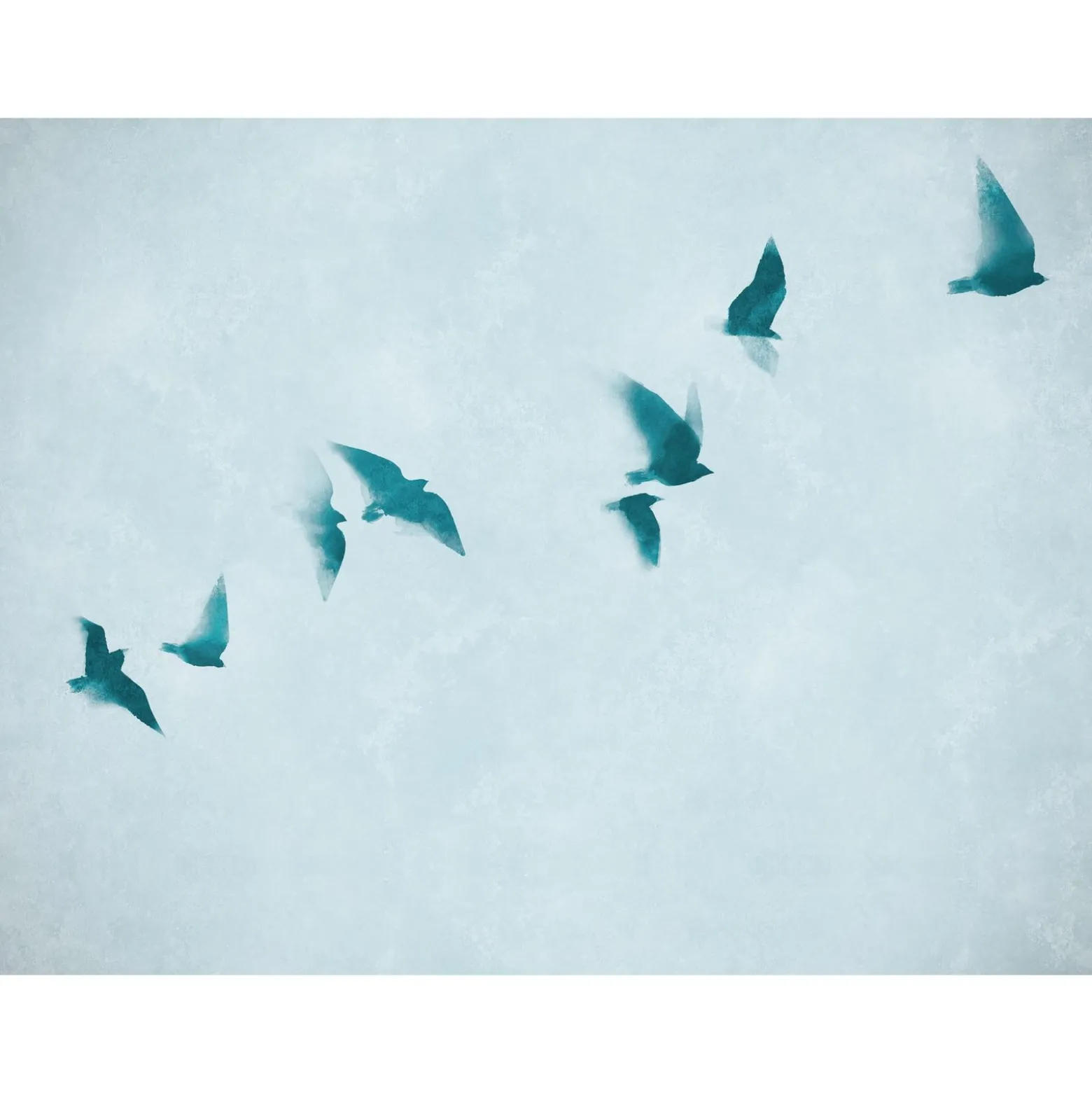 Fototapete Vögel Himmel Aquarell Blau 39923-1