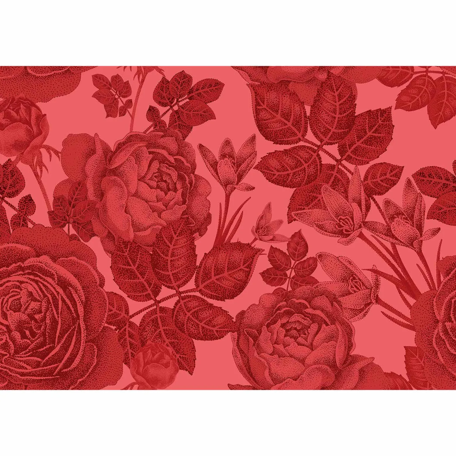 Fototapete Vlies Baccara-Rose Floral rot Premium