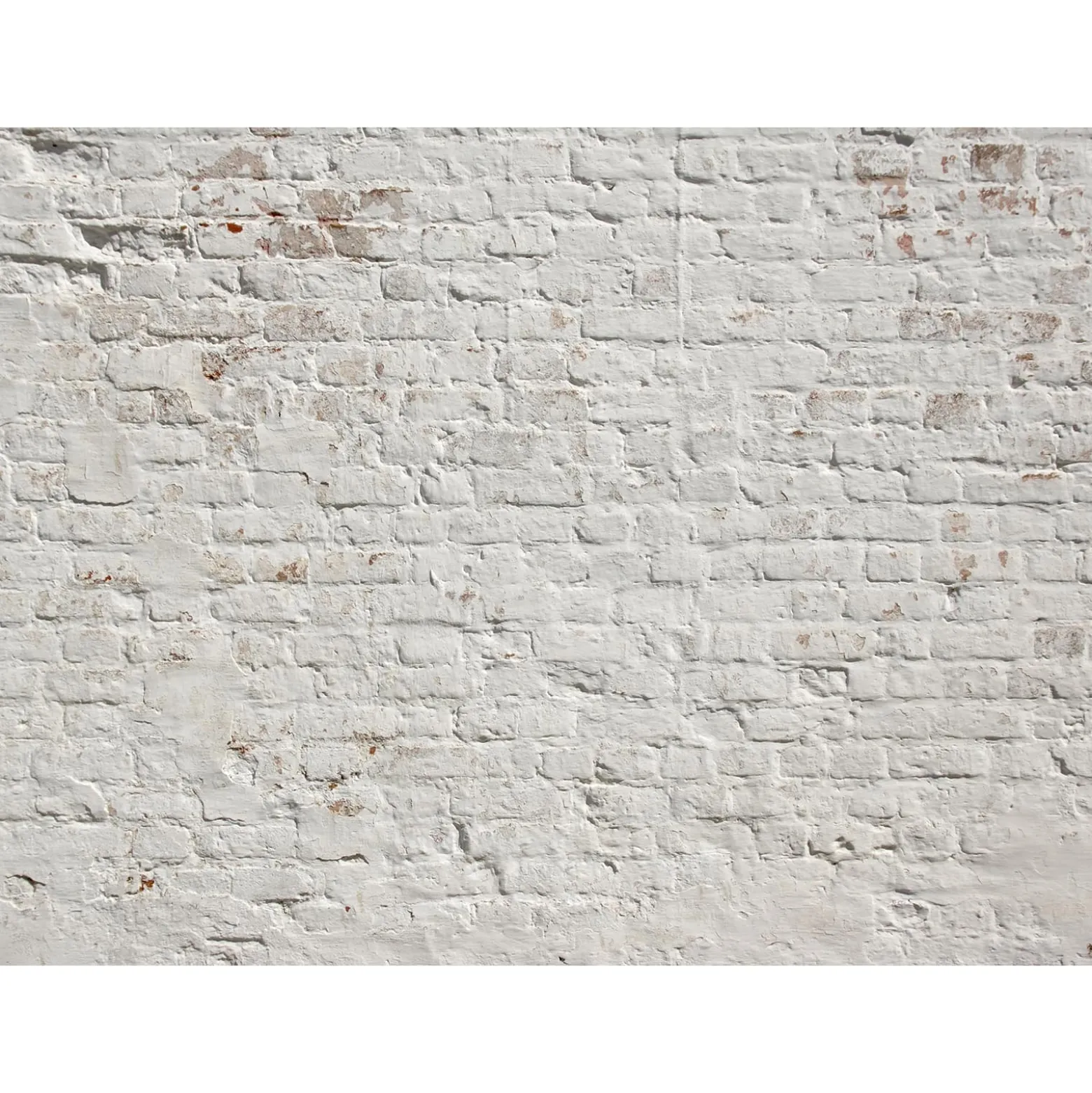 Fototapete Vlies Backstein-Mauer weiß-grau braun