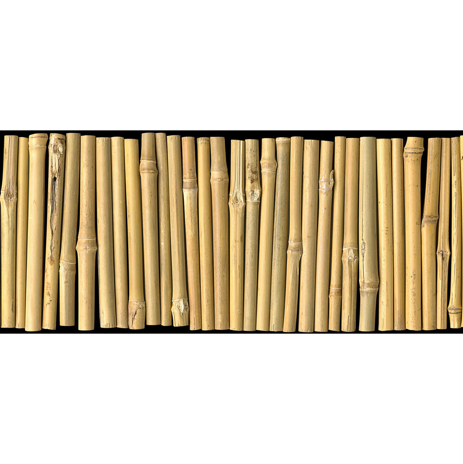 Fototapete Vlies Bambus Stöcke Rohre beige