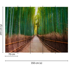 Fototapete Vlies Bambus Weg Wald grün braun