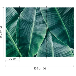 Fototapete Vlies Bananenblätter grün Designwalls