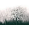 Fototapete Vlies Baum Frühling Streifen grau