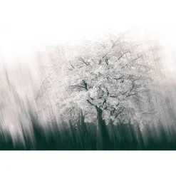Fototapete Vlies Baum Frühling Streifen grau