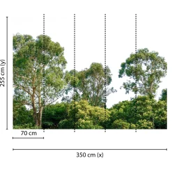 Fototapete Vlies Baum-Krone Wald grün weiß Designwalls