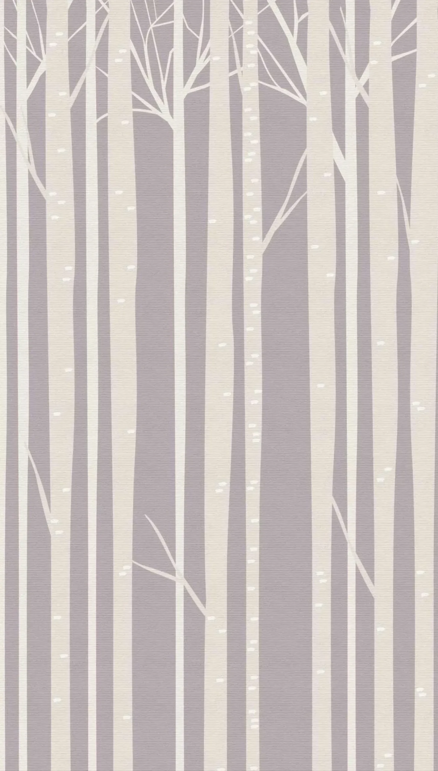 Fototapete Vlies Baumstämme Birke taupe beige 38295-1