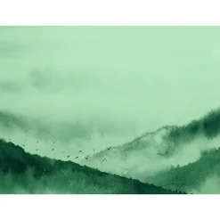 Fototapete Vlies Berge Nebel Vögel grün schwarz