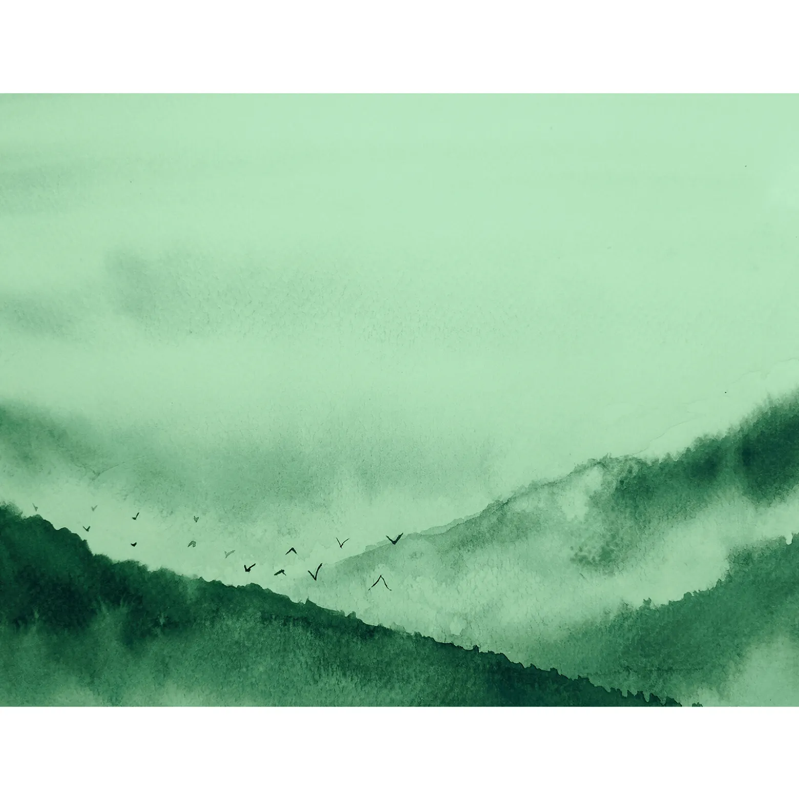 Fototapete Vlies Berge Nebel Vögel grün schwarz