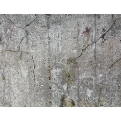 Fototapete Vlies Beton Mauer grau braun