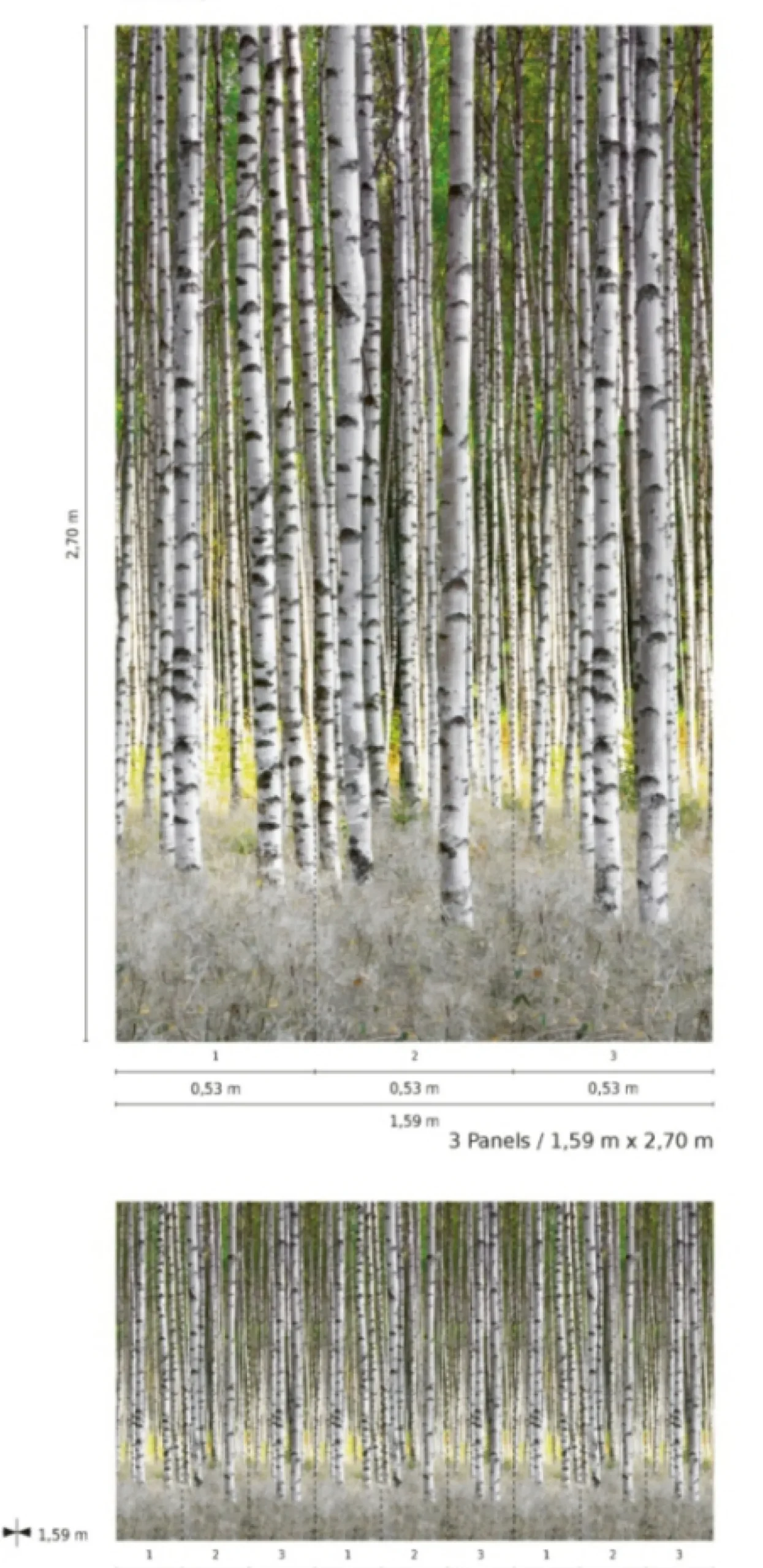 Fototapete Vlies Birken Wald Bäume weiß grau grün 47220