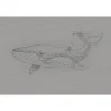 Fototapete Vlies Blauwal Punkte grau schwarz Premium