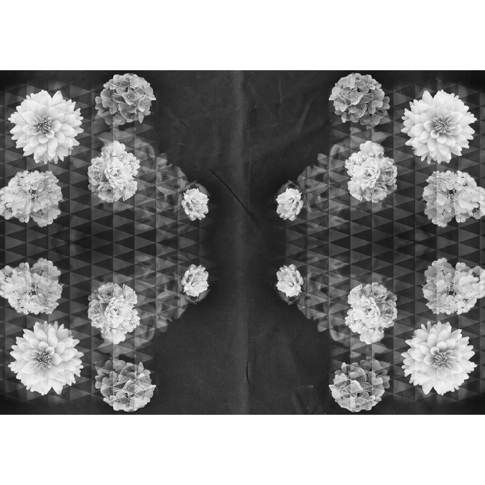 Fototapete Vlies Blüten Floral Dreiecke schwarz