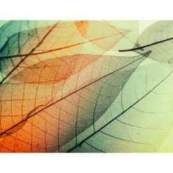 Fototapete Vlies Blätter Licht Herbst orange grün