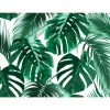 Fototapete Vlies Blätter Palmen grün weiß Designwalls