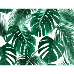 Fototapete Vlies Blätter Palmen grün weiß Designwalls