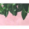 Fototapete Vlies Blätter Putz rosa grün Designwalls