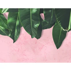 Fototapete Vlies Blätter Putz rosa grün Designwalls
