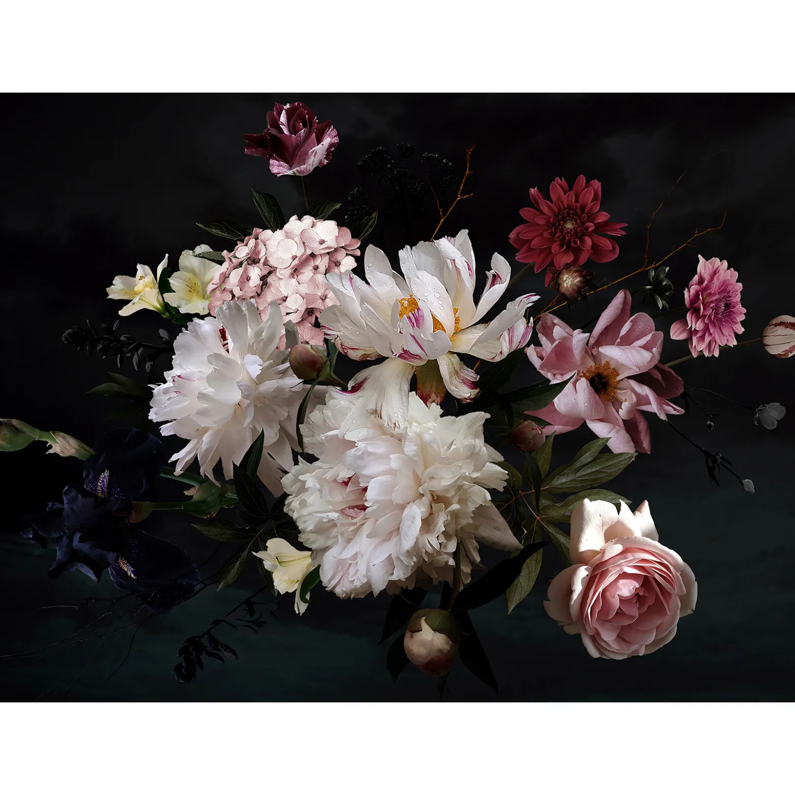 Fototapete Vlies Blumen Blüten Floral weiß rosa schwarz