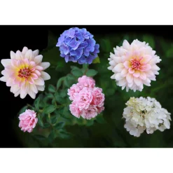 Fototapete Vlies Blumen Blüten Floral rosa grün