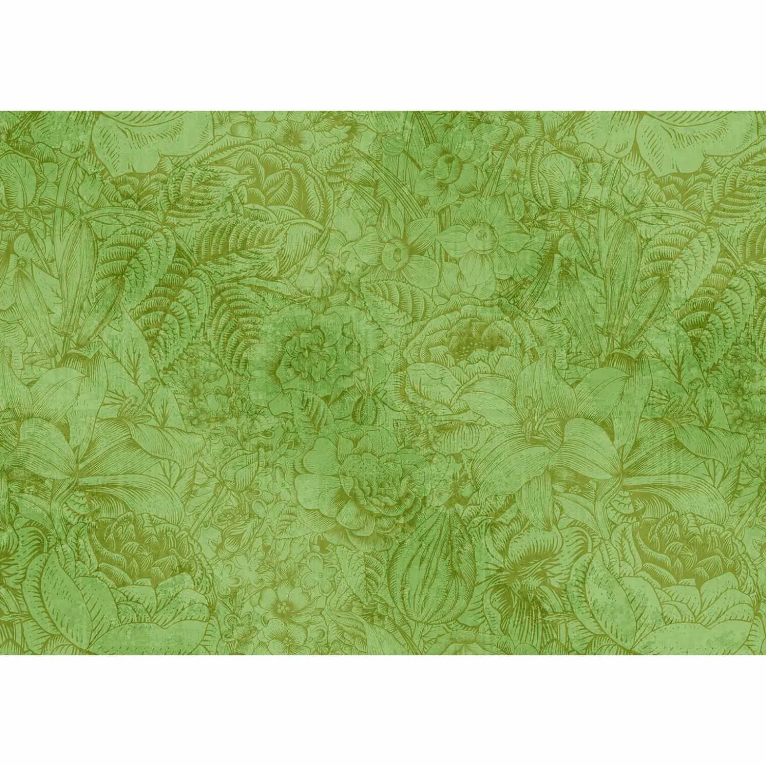 Fototapete Vlies Blumen Botanik grün braun Premium