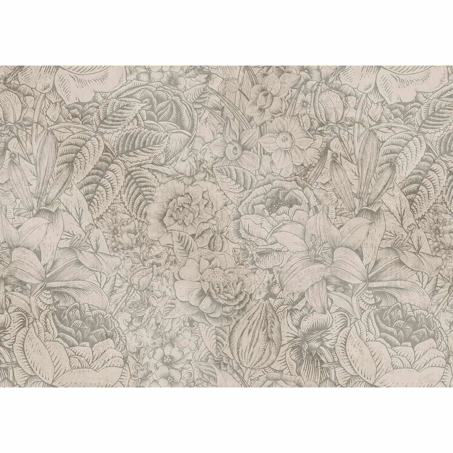 Fototapete Vlies Blumen Botanik beige grau Premium