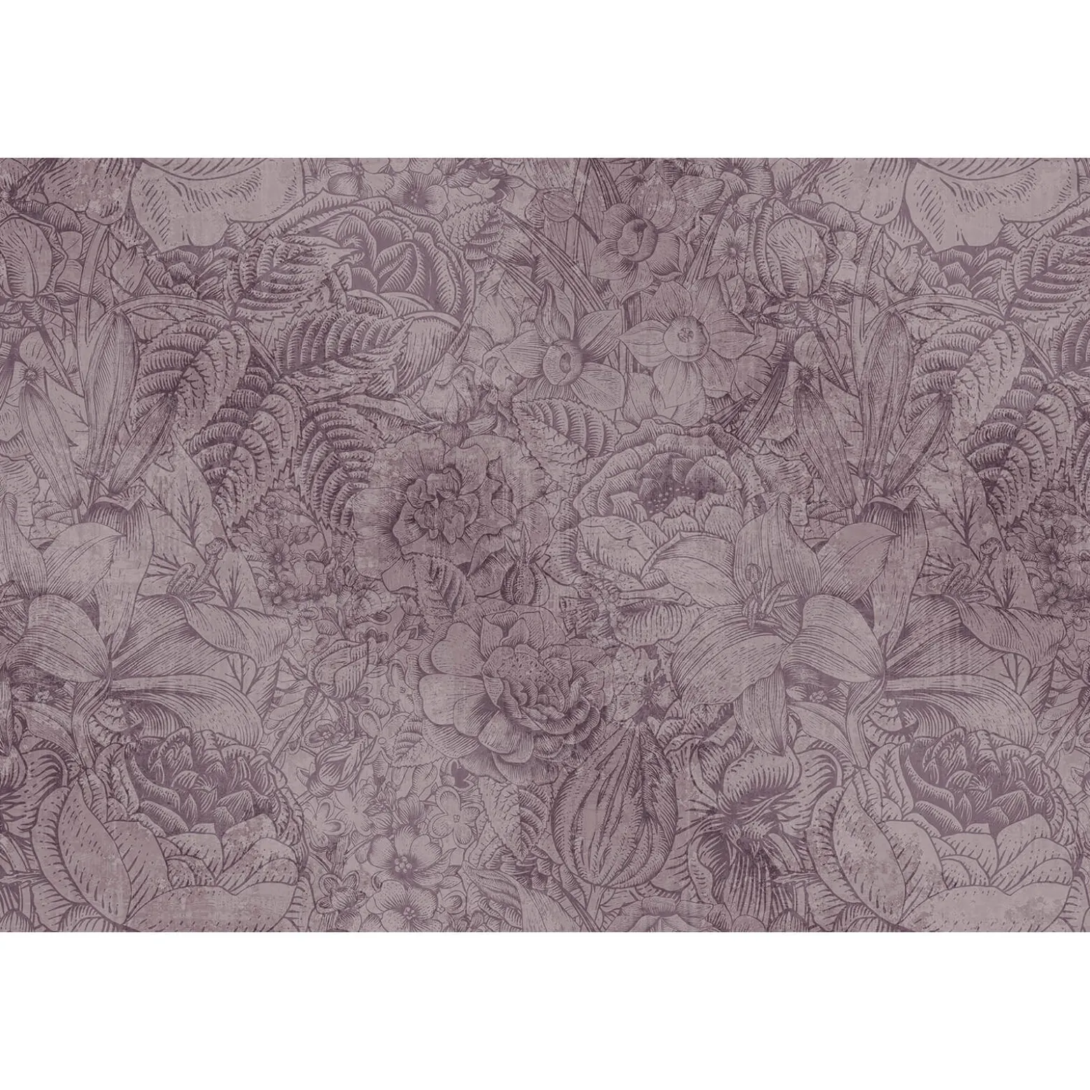 Fototapete Vlies Blumen Botanik grau beige Premium