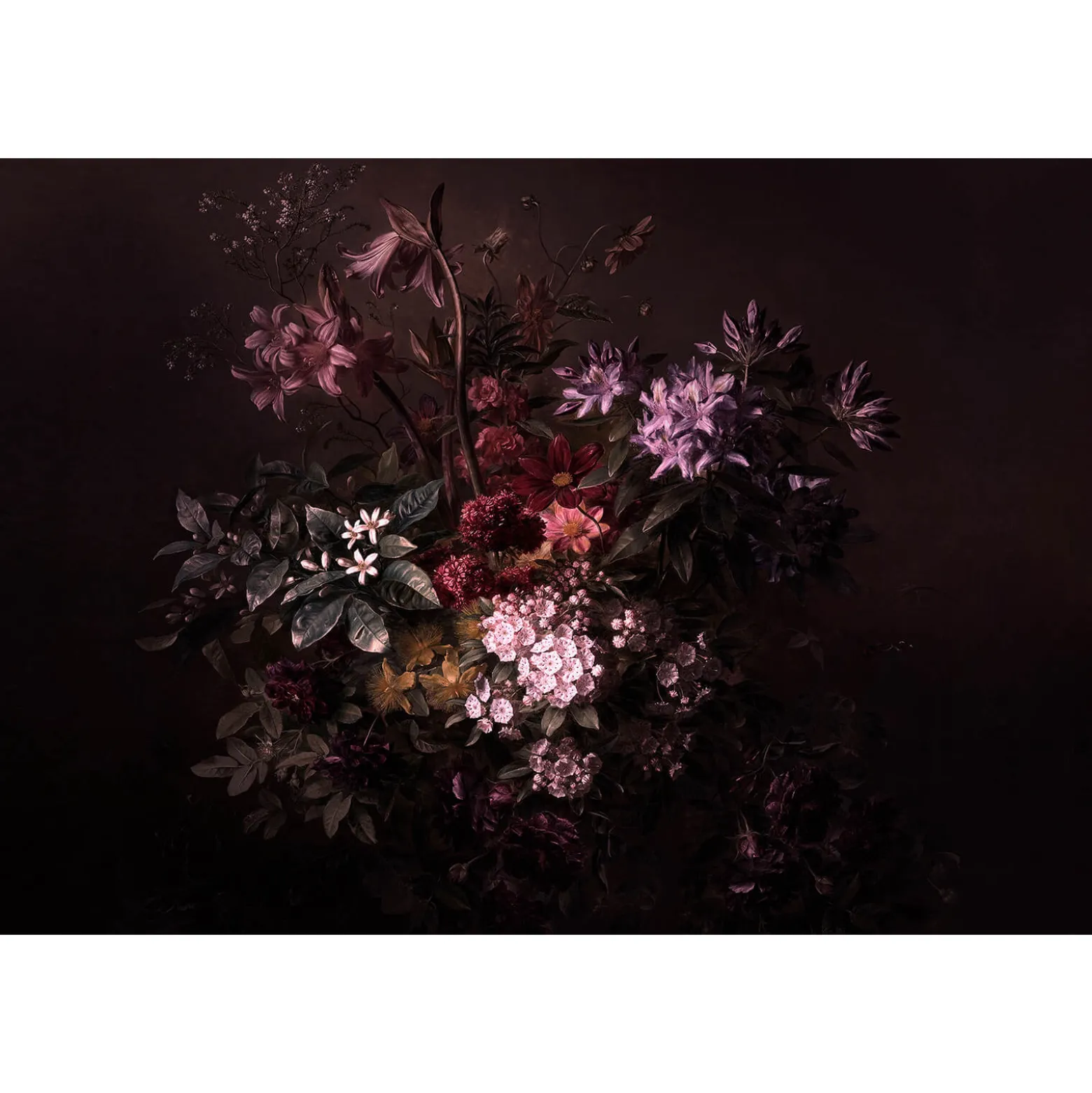 Fototapete Vlies Blumen Floral schwarz rosa Premium